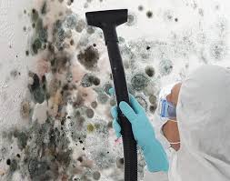 Environmental Consulting for Mold Prevention in Mexico, IN